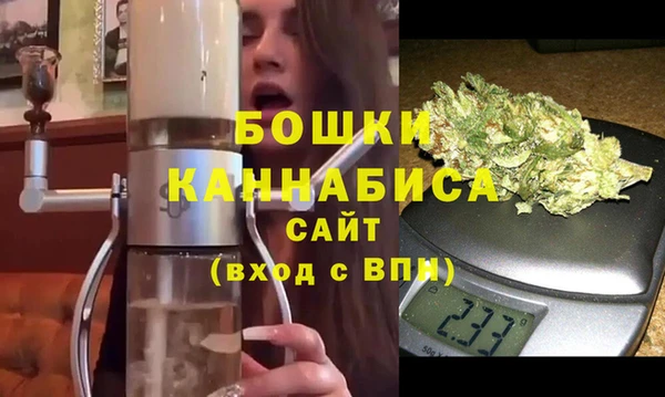 индика Богданович